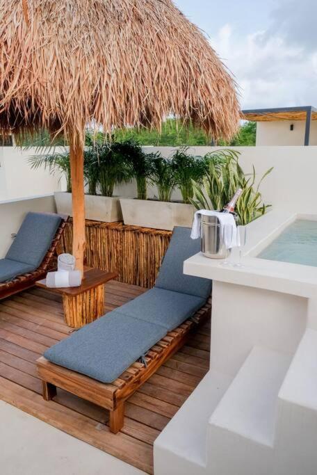 Tropical Oasis Edition